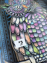 Load image into Gallery viewer, Owl Painted Screen Print 16 x 24 inches