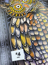 Load image into Gallery viewer, Owl Painted Screen Print 16 x 24 inches