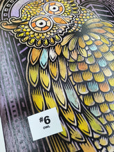 Load image into Gallery viewer, Owl Painted Screen Print 16 x 24 inches