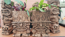 Load image into Gallery viewer, Mr Pineapple Head Tiki Planter

