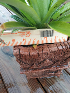 Mr Pineapple Head Tiki Planter